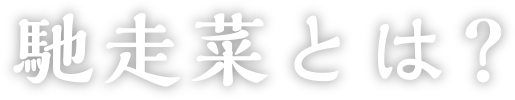 馳走菜とは？