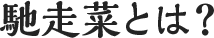 馳走菜とは